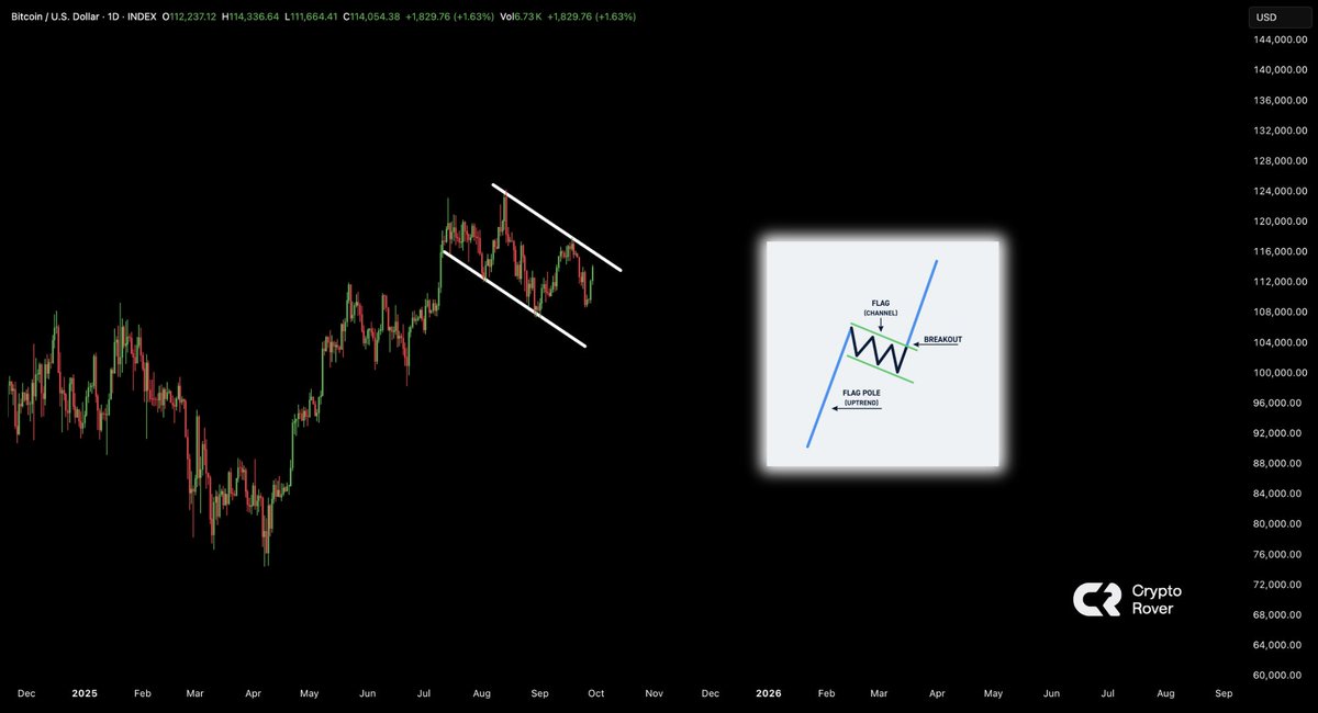 cryptorover's tweet photo. BITCOIN BULL FLAG! 🚩 https://t.co/zI2xS3ite7