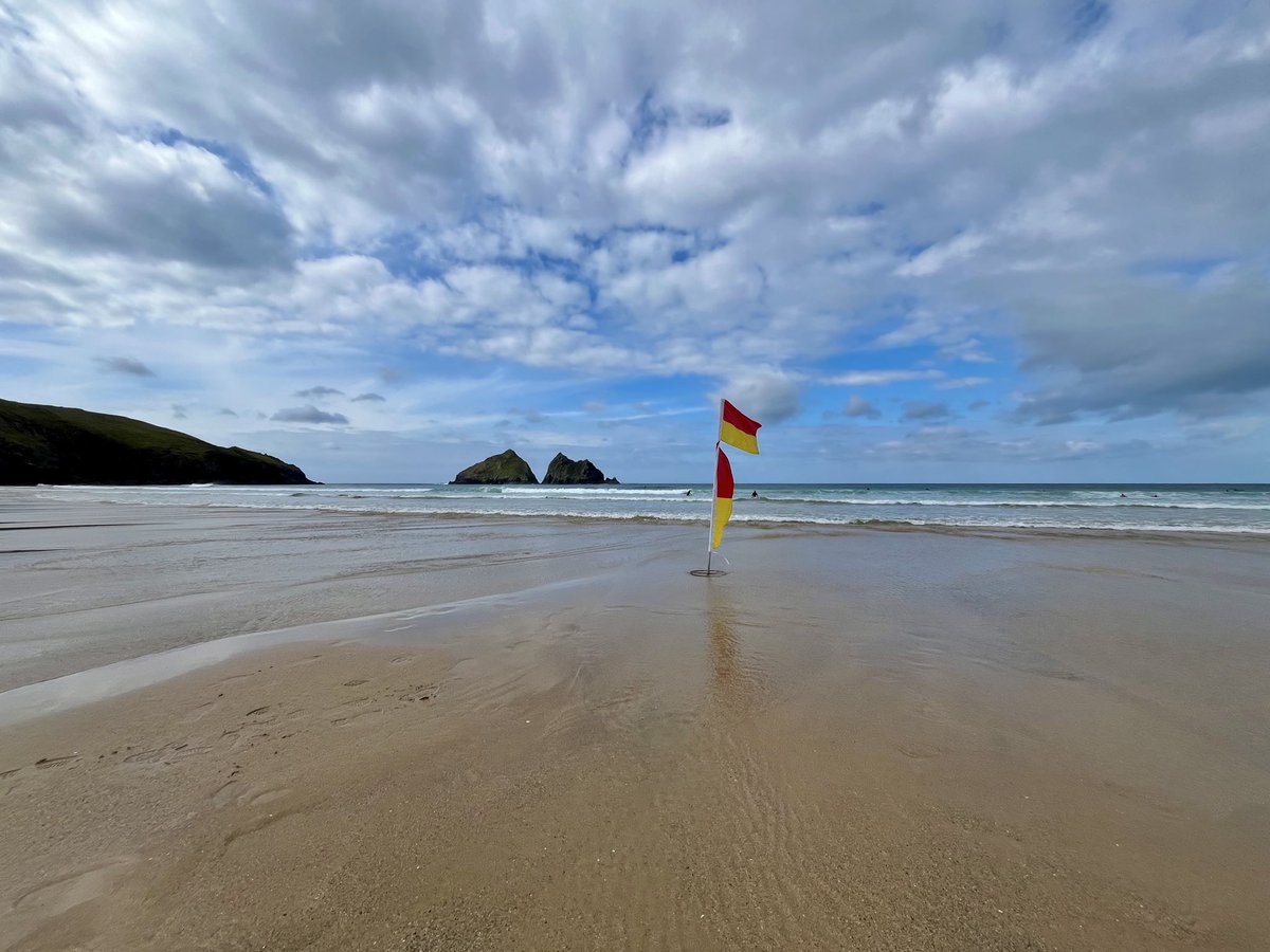 Octotulip tweet media