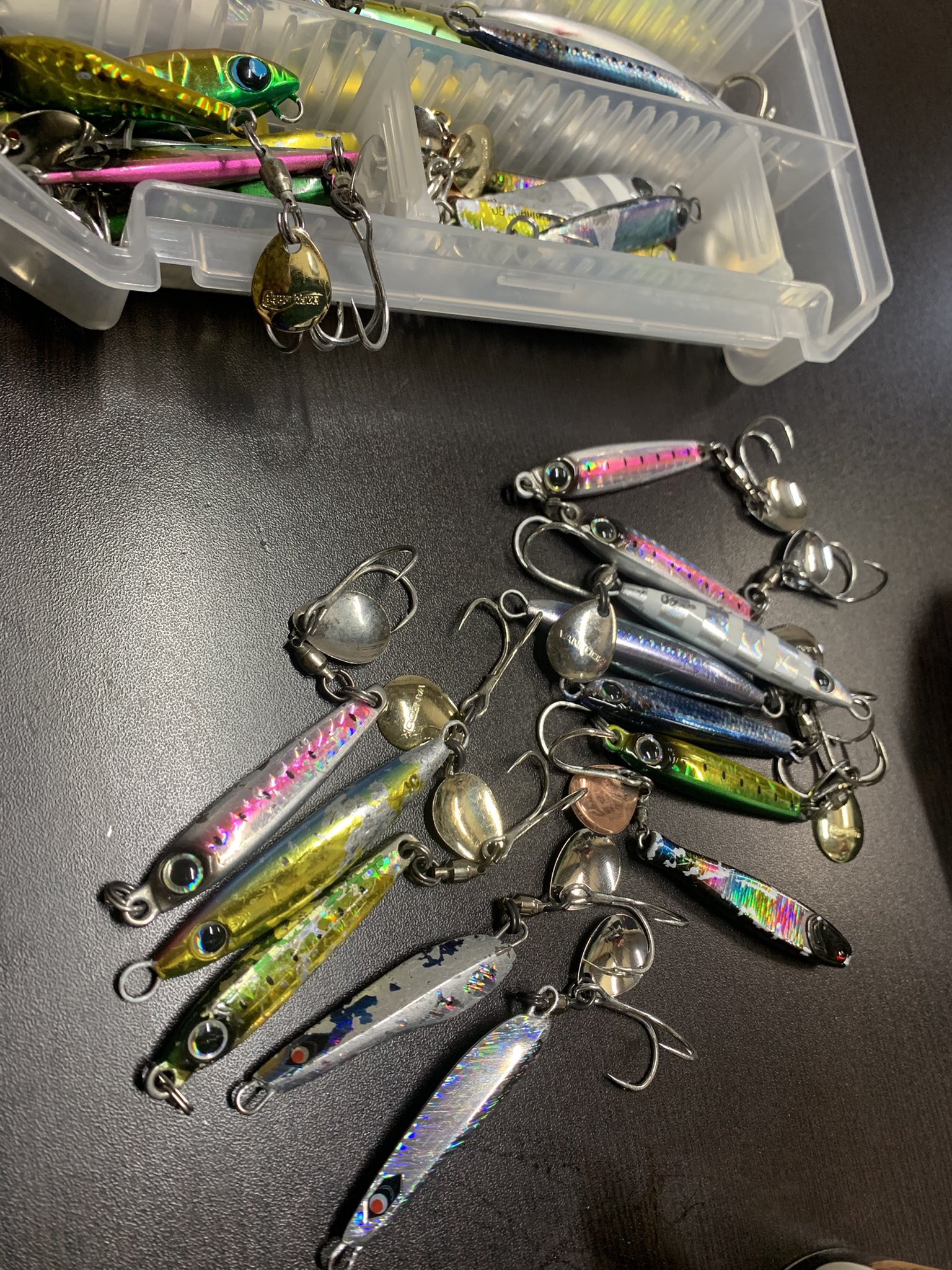 TULALA グッピーまつり ツララ グルーヴィー 80S TULALA Groovy : バックラッシュYahoo