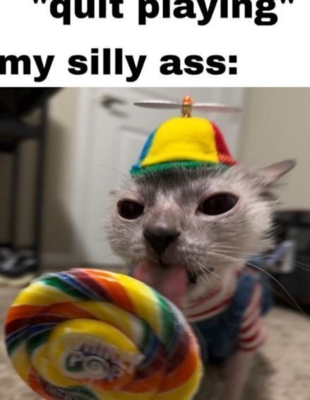 hourly_shitpost's tweet photo. https://t.co/EfjJAsXAOS