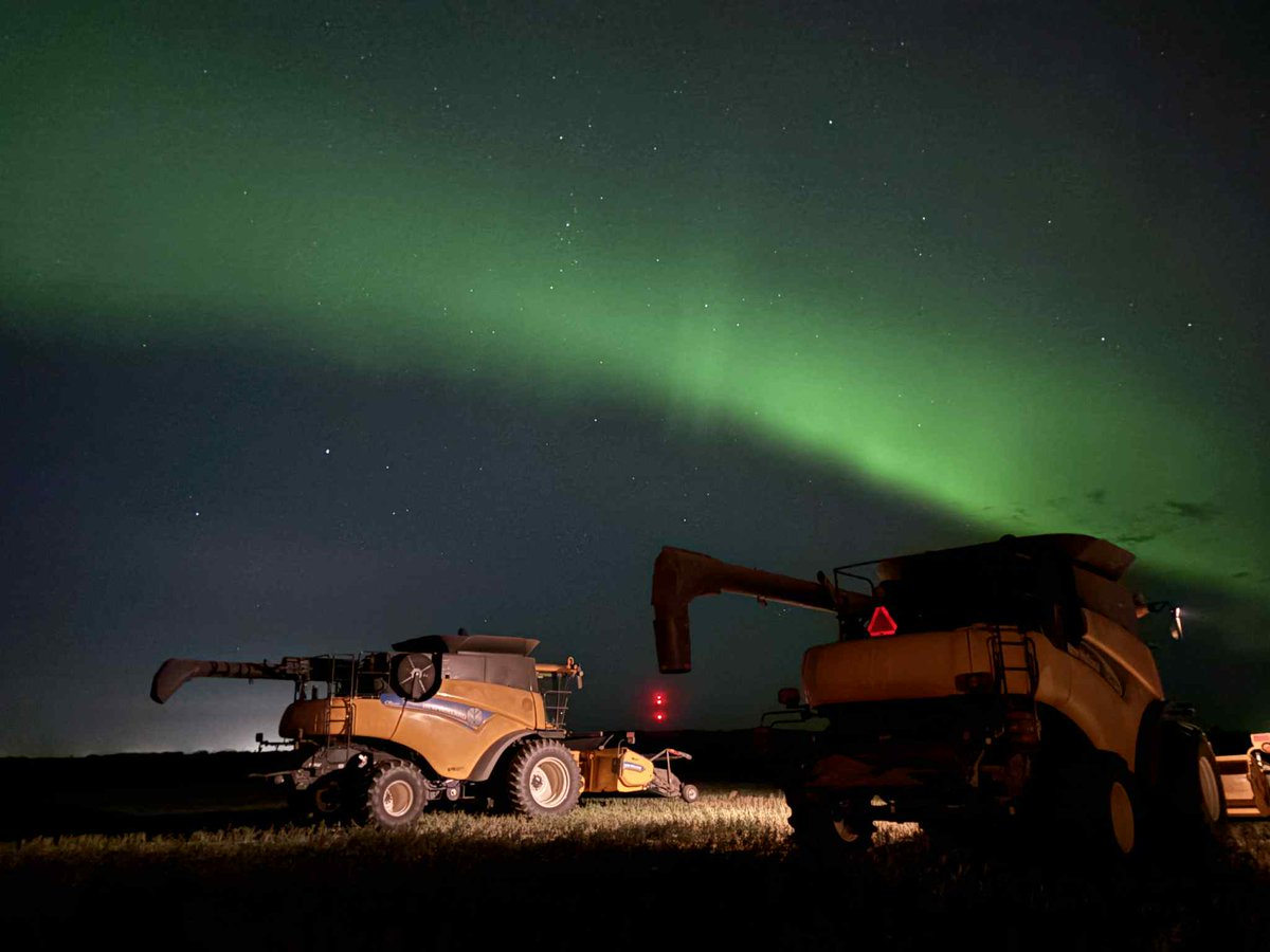 Sheldon Dowling tweet media