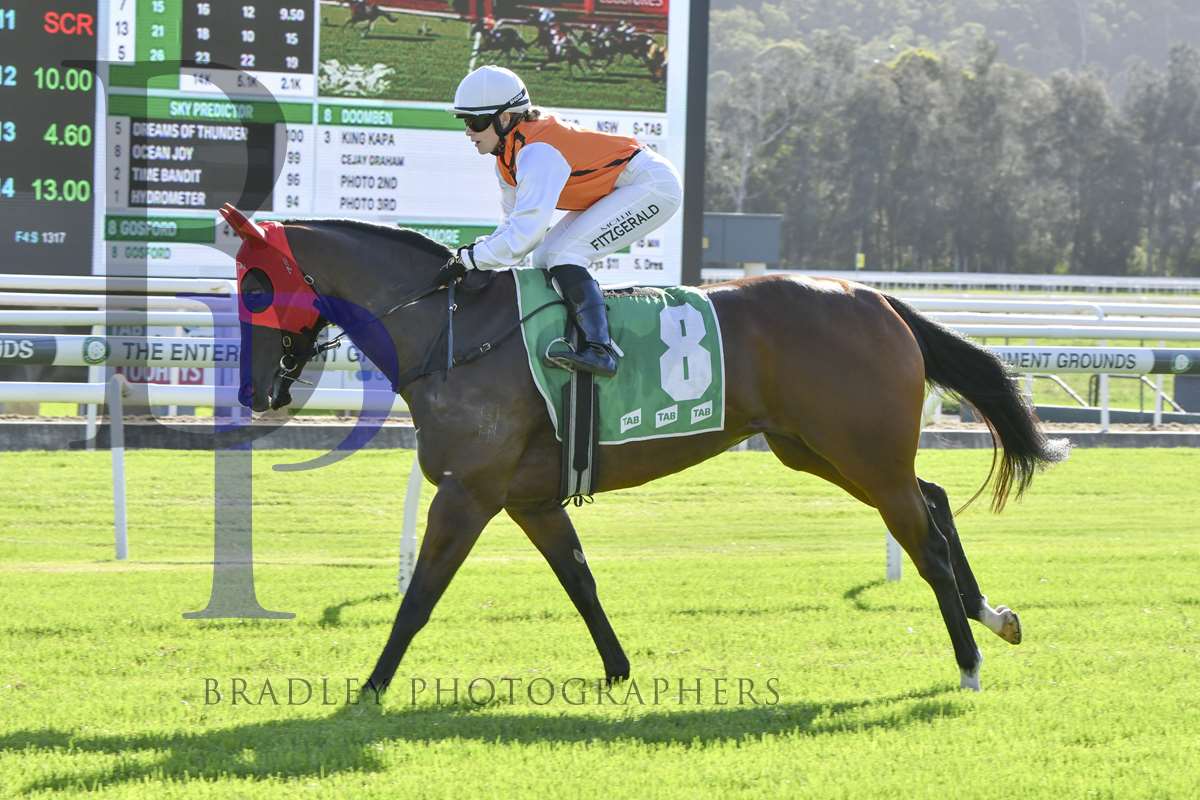 Minervini Racing (@minerviniracing) on Twitter photo OCEAN JOY (4m ex Arabic) resumes at <a href="/newcastleraces_/">Newcastle Racecourse</a> on Thursday. The daughter of <a href="/VineryStud/">Vinery</a> HEADWATER has trialled twice in preparation for her resumption. <a href="/LeeMagorrian/">lee magorrian</a> rides and the pair contest the BM64 over 900m. <a href="/BaramulStud/">Baramul Stud</a> <a href="/mmsnippets/">Magic Millions</a> <a href="/Bradley_Photos/">Bradley Photos</a> <a href="/vinerysales/">Vinery Sales</a> OCEAN JOY (4m ex Arabic) resumes at <a href="/newcastleraces_/">Newcastle Racecourse</a> on Thursday. The daughter of <a href="/VineryStud/">Vinery</a> HEADWATER has trialled twice in preparation for her resumption. <a href="/LeeMagorrian/">lee magorrian</a> rides and the pair contest the BM64 over 900m. <a href="/BaramulStud/">Baramul Stud</a> <a href="/mmsnippets/">Magic Millions</a> <a href="/Bradley_Photos/">Bradley Photos</a> <a href="/vinerysales/">Vinery Sales</a>