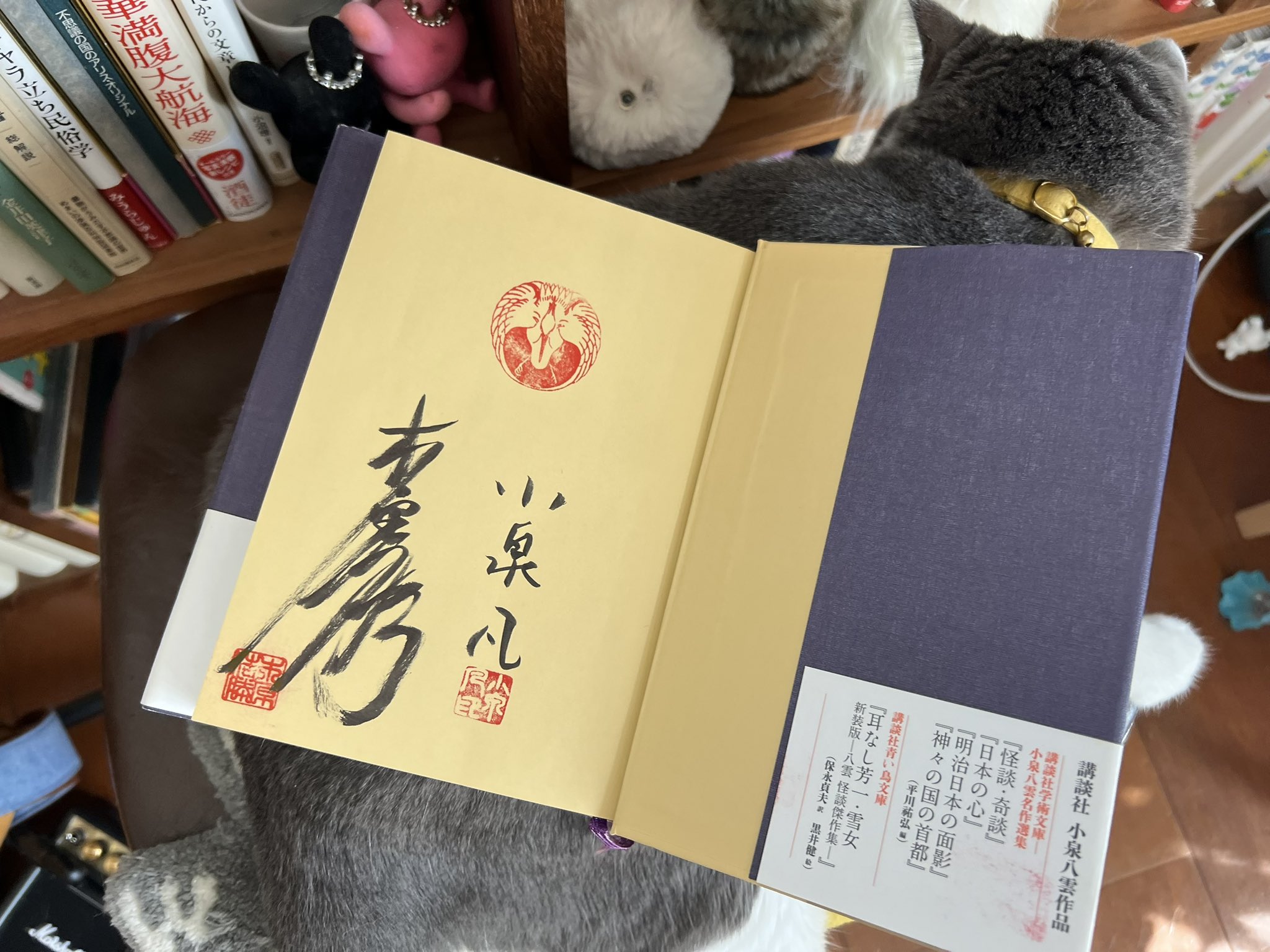 小宮聡雲 先生 直筆額入り 小宮聡雲 先生 直筆額入り