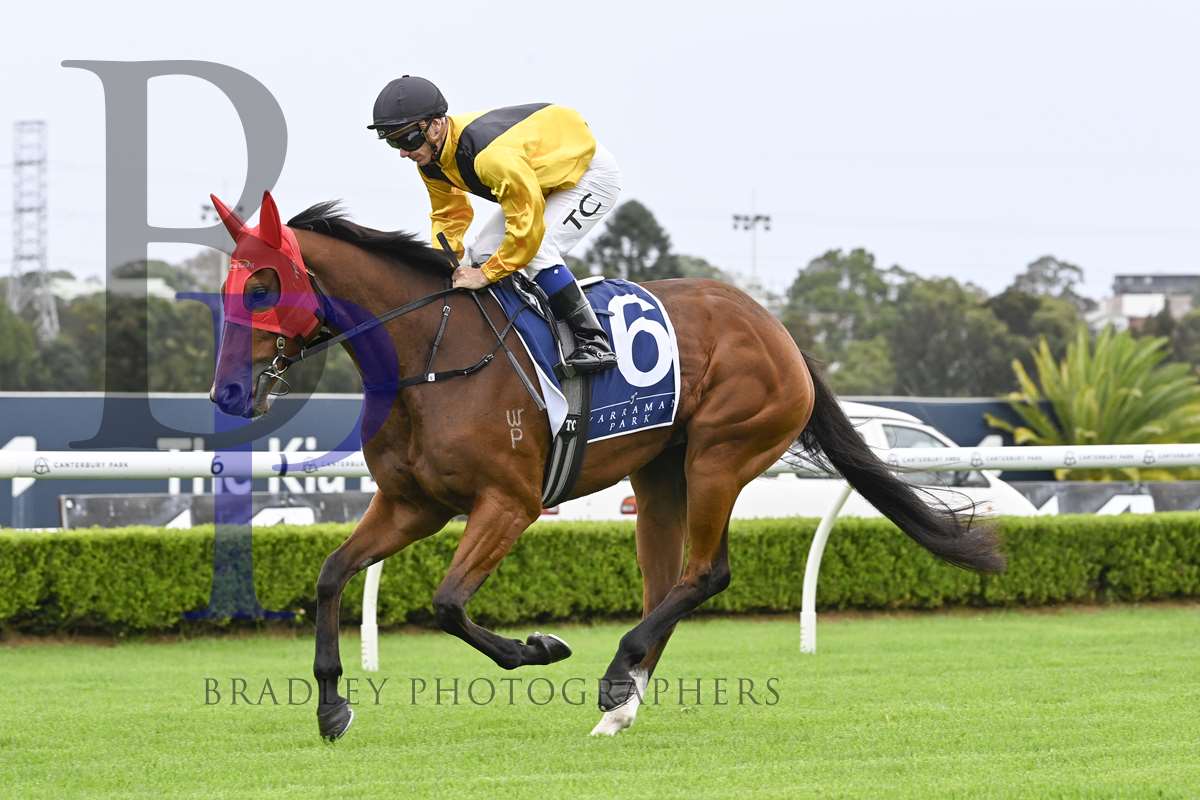 Minervini Racing (@minerviniracing) on Twitter photo BONJOUR MADAME (4m ex Madame Trop Vite IRE) resumes <a href="/newcastleraces_/">Newcastle Racecourse</a> Thursday. <a href="/LeeMagorrian/">lee magorrian</a> partners the daughter of <a href="/Oaklandsstud/">Oaklands Stud</a> PARIAH in the BM64 over 1200m. <a href="/WillowParkStud/">WillowParkStud</a> <a href="/mmsnippets/">Magic Millions</a> <a href="/ArrowfieldStud/">Arrowfield Stud</a> <a href="/Bradley_Photos/">Bradley Photos</a> #racing #newcastle #NSW #pariah #bonjour #madame BONJOUR MADAME (4m ex Madame Trop Vite IRE) resumes <a href="/newcastleraces_/">Newcastle Racecourse</a> Thursday. <a href="/LeeMagorrian/">lee magorrian</a> partners the daughter of <a href="/Oaklandsstud/">Oaklands Stud</a> PARIAH in the BM64 over 1200m. <a href="/WillowParkStud/">WillowParkStud</a> <a href="/mmsnippets/">Magic Millions</a> <a href="/ArrowfieldStud/">Arrowfield Stud</a> <a href="/Bradley_Photos/">Bradley Photos</a> #racing #newcastle #NSW #pariah #bonjour #madame