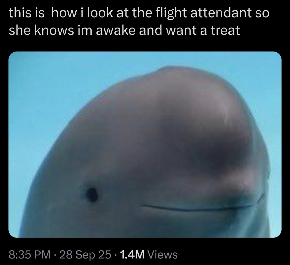 I have seen this *exact* tweet 947392946 times in this mother fucking app and if I see it one more time from y'all I am going to go on a shit poasting rampage lol