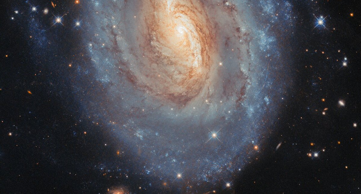 DailySpaceNude's tweet image. Day 989 - NGC 6000

📷Hubble
#Space #Astronomy #Hubble