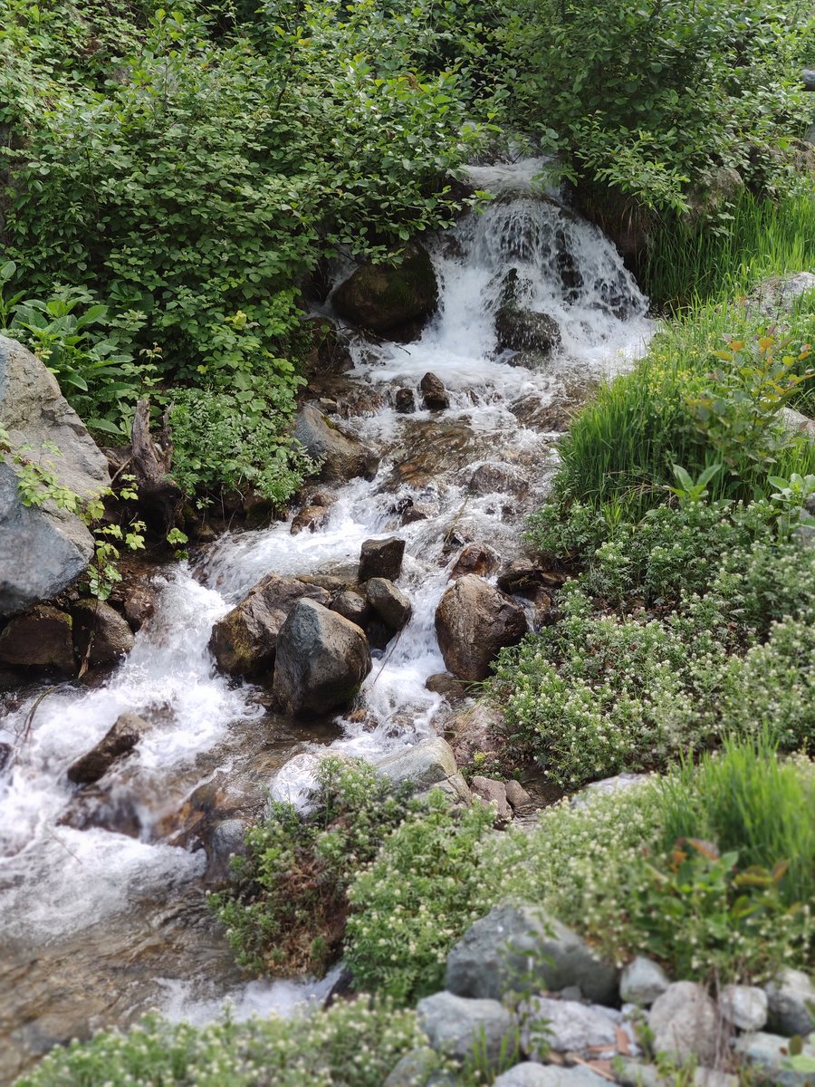 🇹🇷 Günaydınlar Türkiye'm 🇹🇷 Günaydınlar 💛 Fenerbahçe Ailesi 💙 Sağlıkla mutlu gönlünüzce güzel bir güne hayırlı işler bol kazançlar sevgiyle kalın 🇹🇷 #Salı