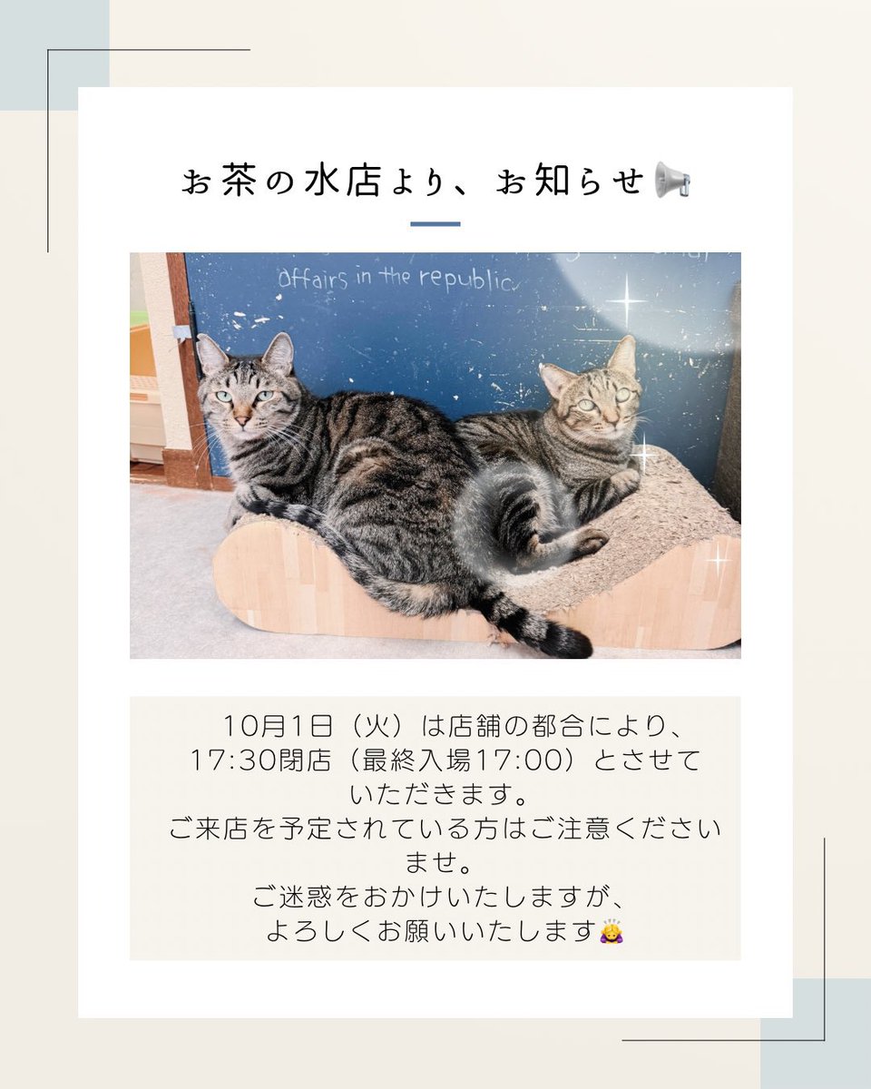 🍎【お茶の水店】🍏
本日で谷中店が閉店致します😭
最後の機会にぜひ足を運んでみてください！！

⚠️10月7日は臨時休業となります。
10月1日は17時30分閉店となりますので、ご注意ください🙇‍♀️

只今ねこまつり開催中です！
スタンプを集めてお得な特典をゲットしてくださいね♪✨
#猫　#保護猫