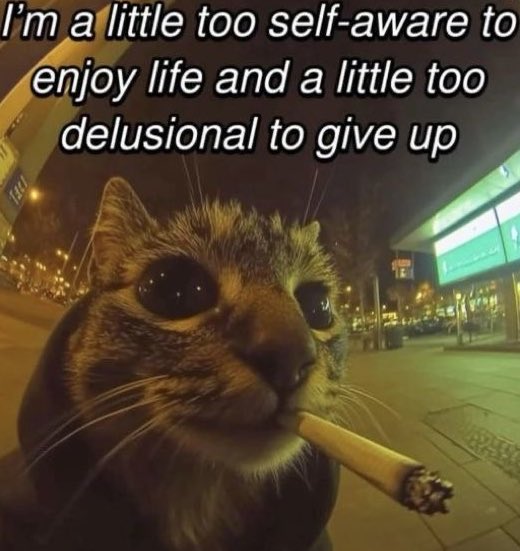 Anchovy_Pizza's tweet image. Tomorrow is a new day! Let’s face it!