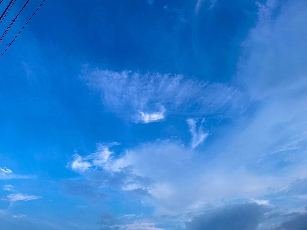 午後からも頑張るのだー😤