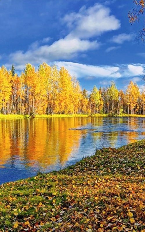 123 (@xetra_a) on Twitter photo 