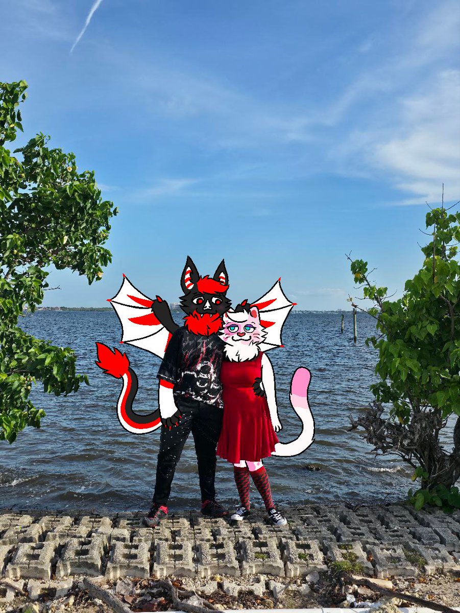 Flotional's tweet photo. Me and my lovely bat 🦇💕🐈 https://t.co/h8tU6KkfXG