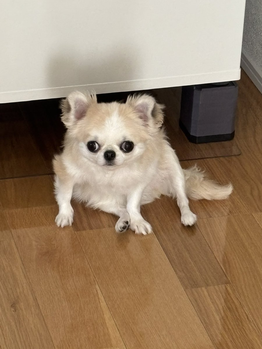 うめぇ