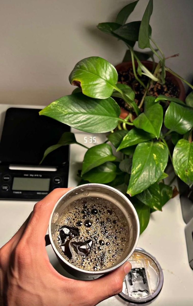 ☕️القهوه سر من أسرار السعادة لبعض البشر وانا منهم 😘
#صباح_الخير_والسعاده