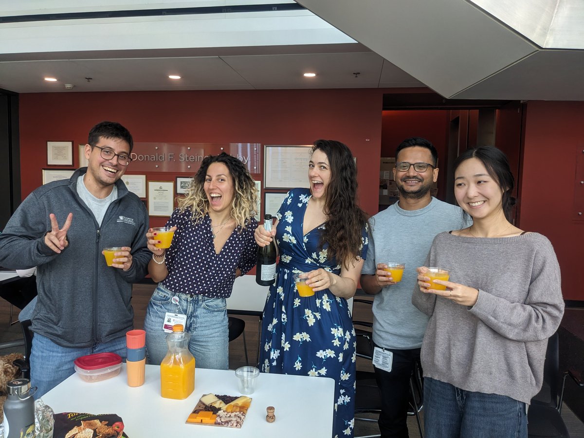 AdaWeinstock tweet media