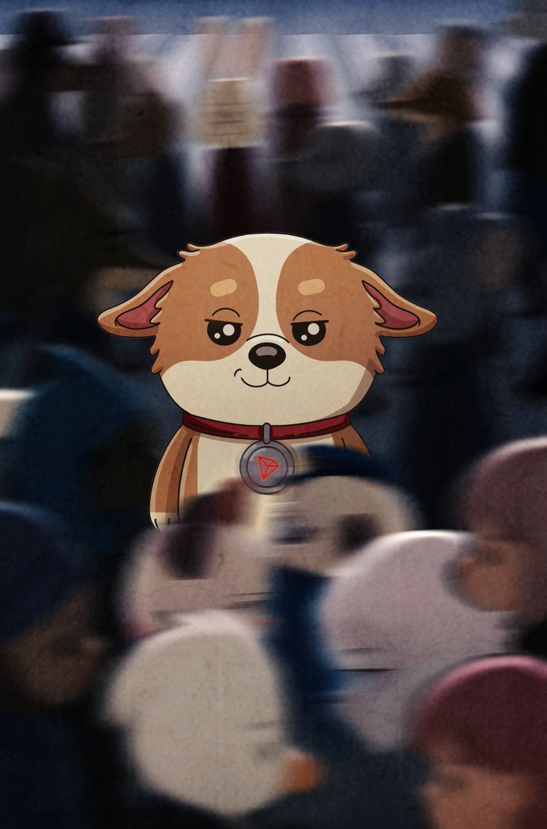 SunDog 🐾 tweet media