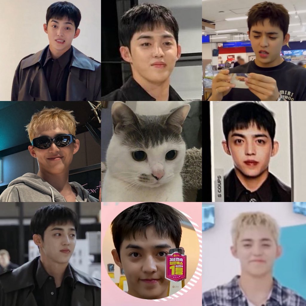 머리 이상하게 자른 고양이？승철 본인인데ㅋㅋㅋㅋㅋㅋㅋㅋㅋㅋㅋ