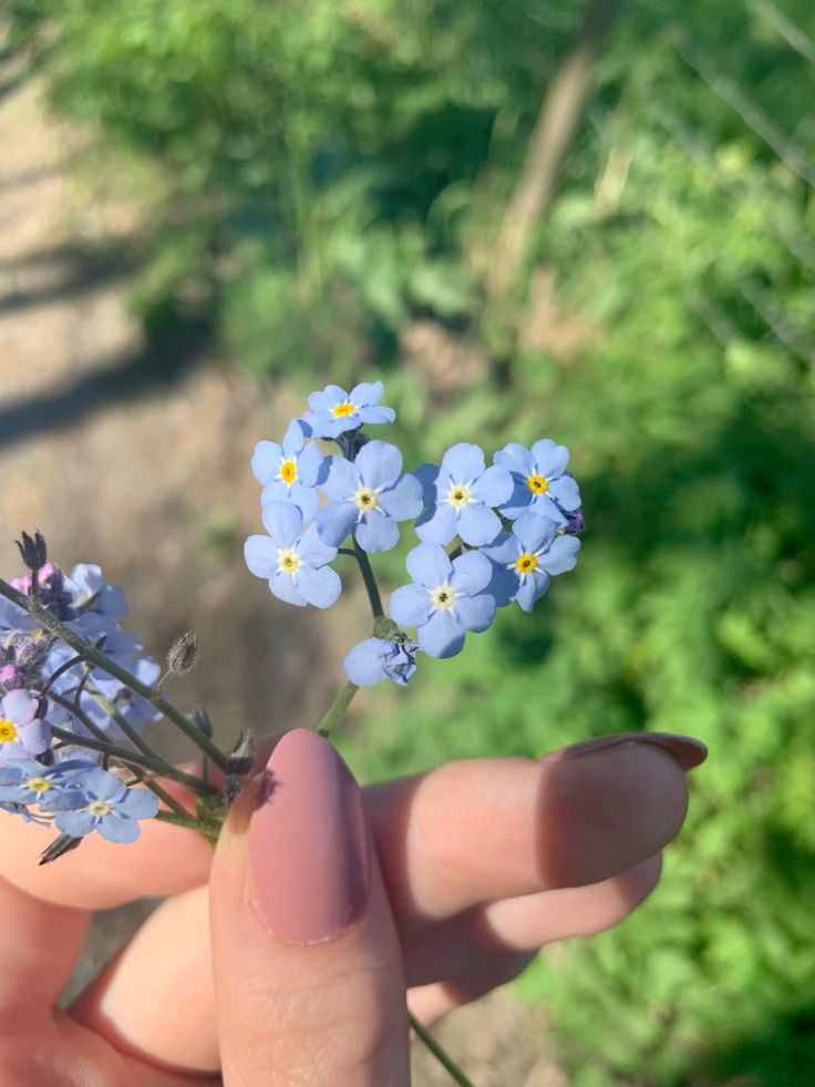 Annabella🎀 tweet media