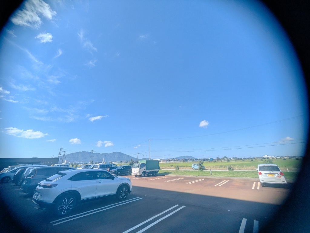 市役所の周りは山と田んぼ！🌾