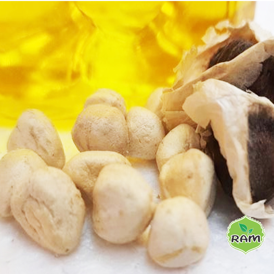 rm_exports's tweet photo. 🌱✨ Did you know? Moringa Seed Kernels are the secret to turning tiny seeds into liquid gold 💛 Perfect for cold-pressed moringa oil loved in skincare, wellness &amp; nutrition.
https://t.co/Xp5vKsNOr3 https://t.co/Q6swBBbi5p