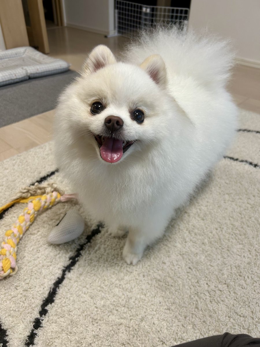 にこにこちゃん！