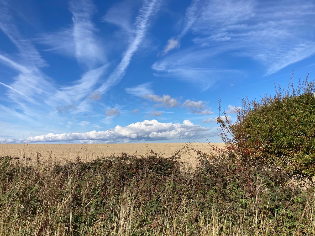 FYoungWriter's tweet photo. #Tuesday #walking 🚶‍♀️ Did the run this morning, and a walk from yesterday lunchtime in the @Yorkshire_Wolds 🚶‍♀️ Have a great day yesterday 🚶‍♀️ https://t.co/7HorwA8Jwd