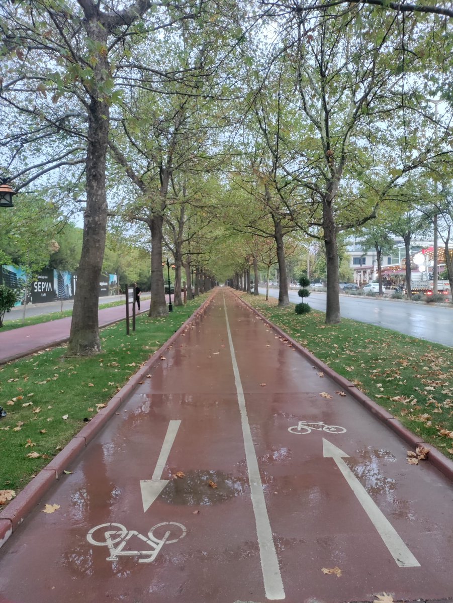 "Görmezden gelin, ses etmeyin, cevap vermeyin... Sessizlik herkesi mahveder."

- Charles Darwin 
#NaturePhotography #nature