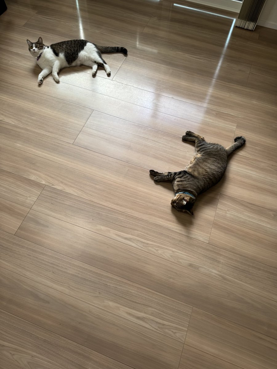 天邪鬼様　計５点 天邪鬼様 計5点 ちいさなちいさな天邪鬼 | 気まぐれ日記