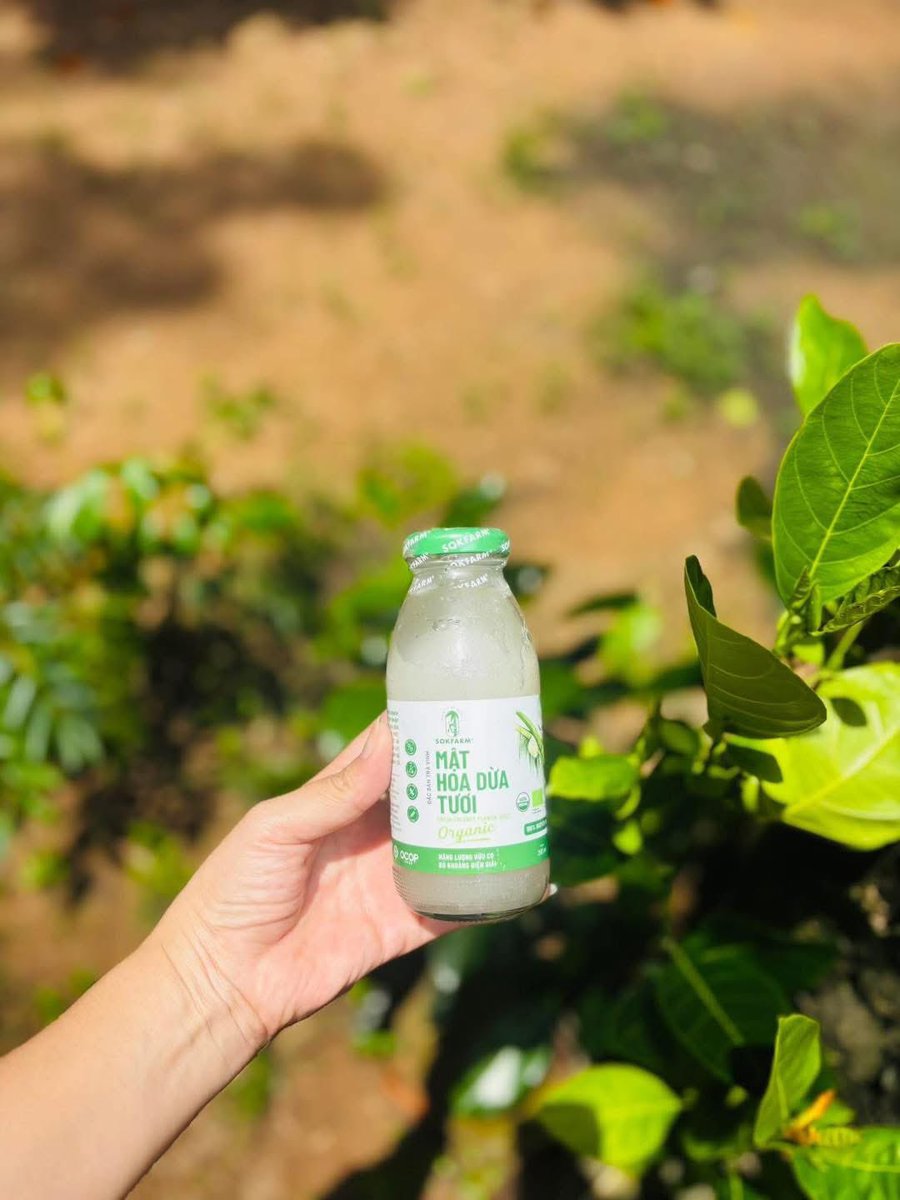 ngochuyen_vt's tweet photo. ☘️Mật hoa dừa tươi - mát lạnh, ngọt lành, bổ sung năng lượng, bù khoáng điện giải☘️
#480k/thùng 12 chai*250ml

📍 Đặt mua ngay
📦 Giao hàng nhanh – hàng luôn có sẵn trong kho!

📞0️⃣9️⃣0️⃣8️⃣8️⃣1️⃣7️⃣8️⃣8️⃣9️⃣Huyền Nguyễn https://t.co/hsdWTntbr4