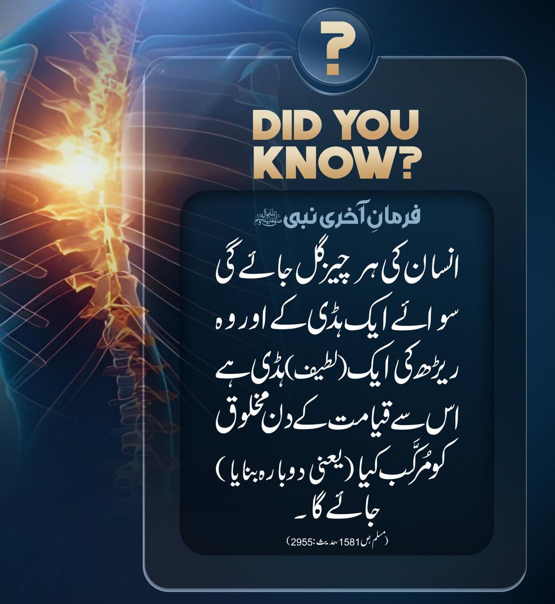 ZammadMughal's tweet photo. #true https://t.co/NY131iaUlq