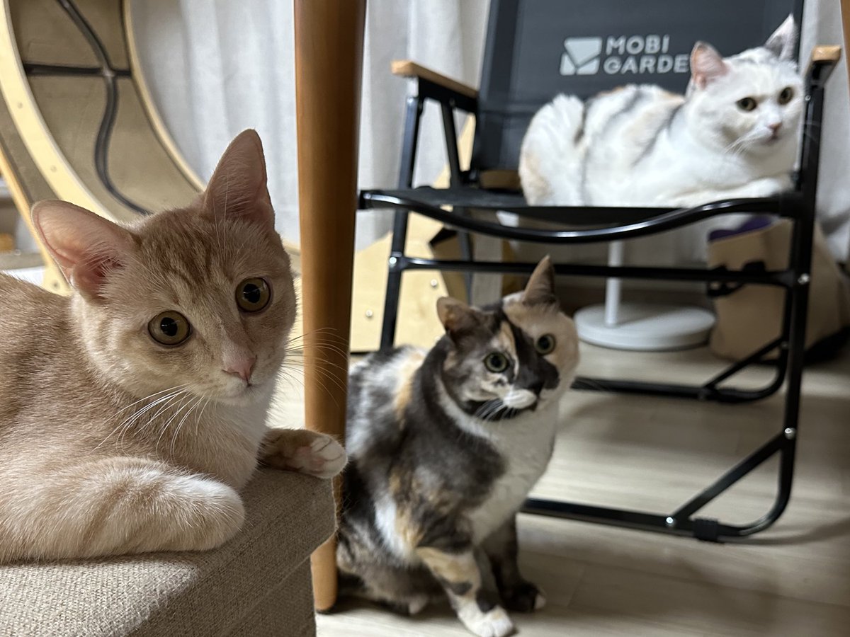 김팀장 (@8ck) on Twitter photo 