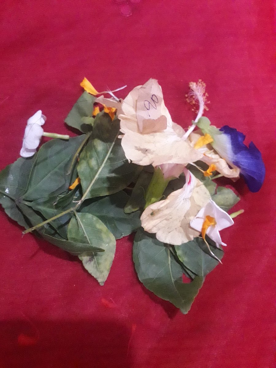 SUNANDA83177845's tweet photo. @SUNANDA83177845 
I wish everybody  greetings for Maha Ashtami... stay happy and healthy.. Hope and love https://t.co/SJeuzJfZOh