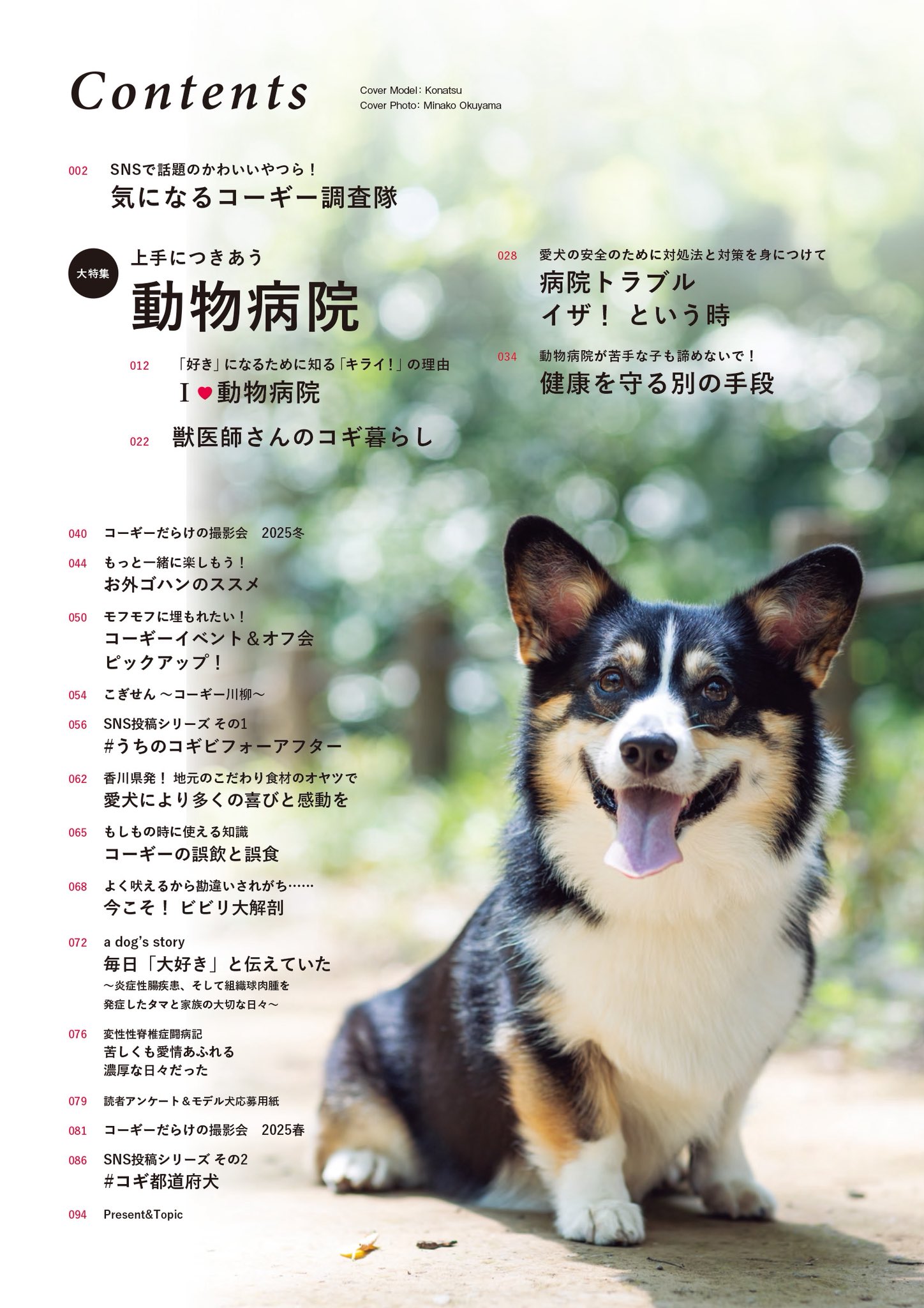 コーギーのプリント画　コーギーと妖精 フェアリーサドル | Cotoro Bear