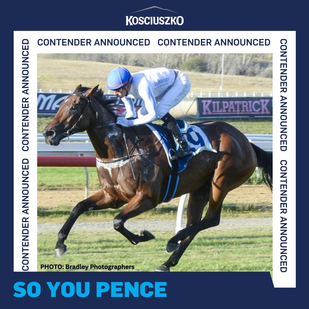 racing_nsw's tweet photo. A lightly raced six-year-old mare, So You Pence will face her biggest test in #TheKosciuszko after she runs at Rosehill on Wednesday. She's a third runner for Matt Dale in the $2m #TABEverest day feature thanks to Bulli slot winner Tony Ryan. 👏 https://t.co/WdizoxYMW9