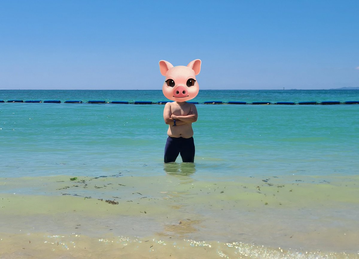 aytl536's tweet photo. 海豚 https://t.co/CtvjxEdpQS