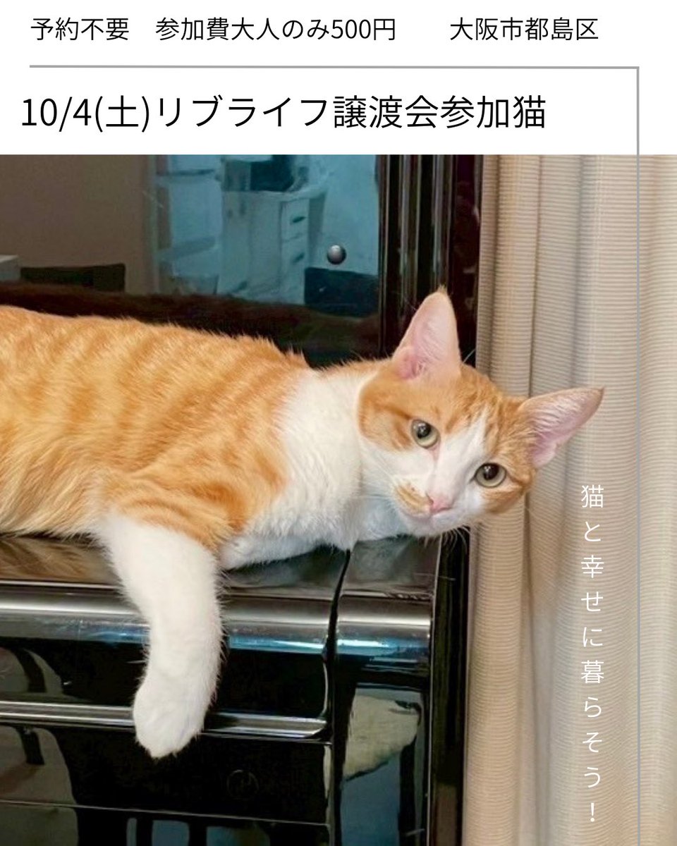 祥子 (@22onakaippai) / X