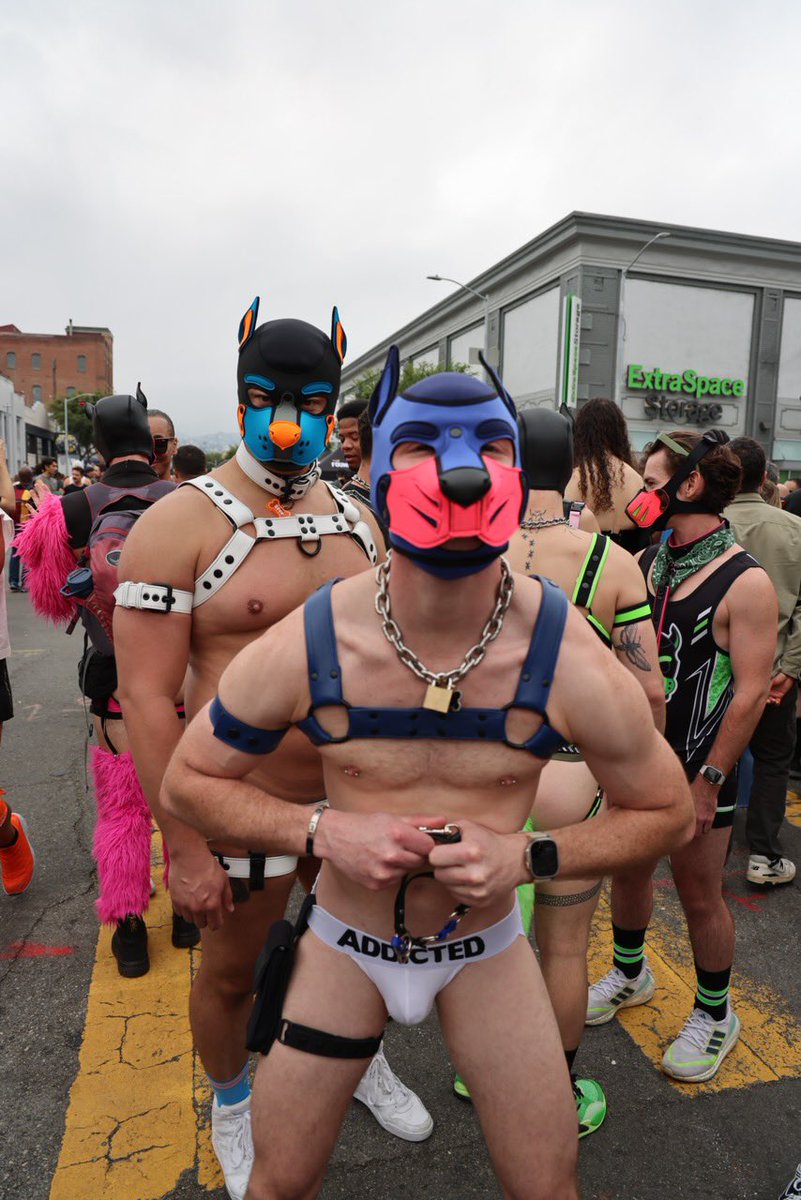 Pup Aidan tweet media