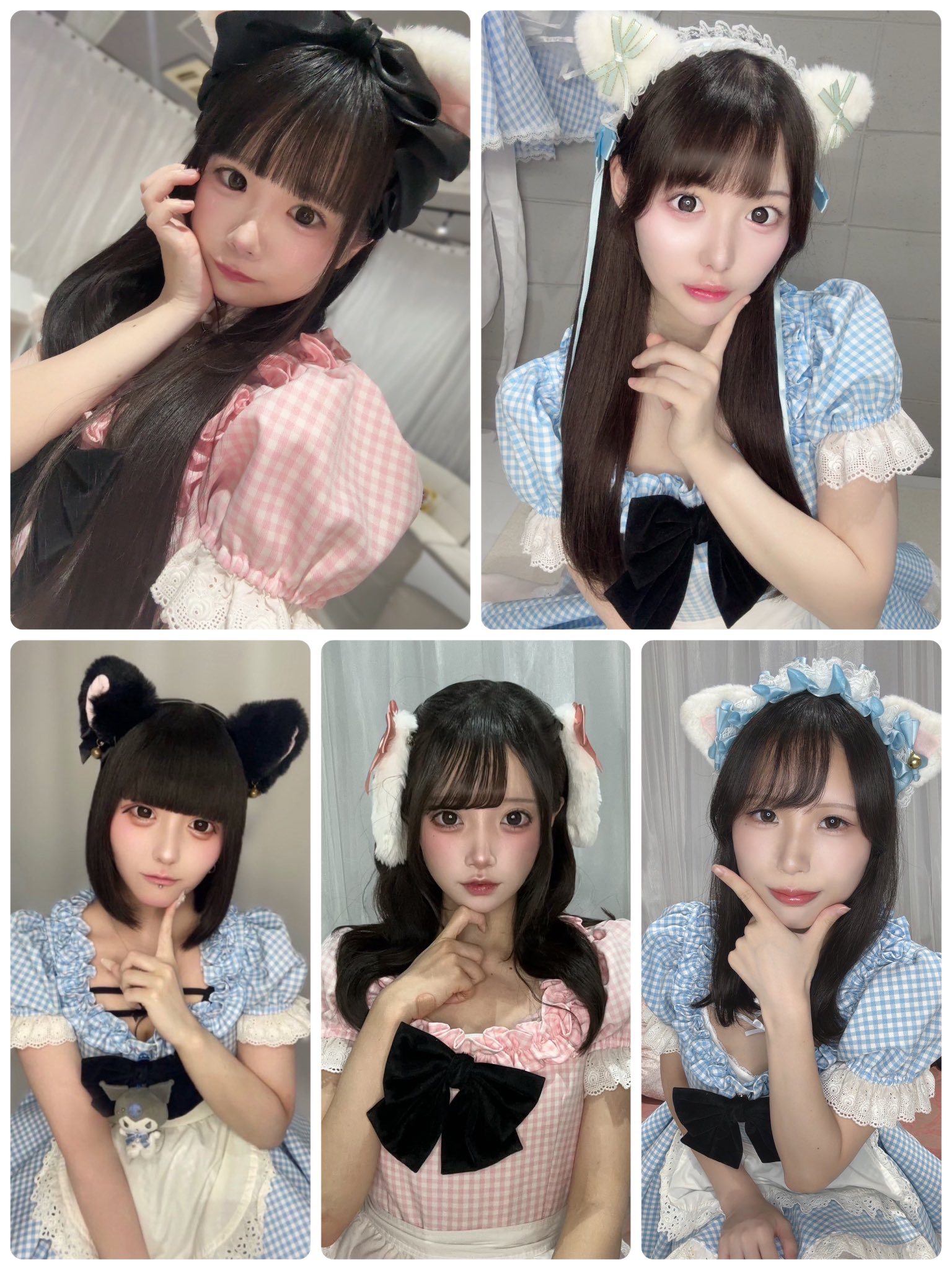 あにまる♡みるふぃ〜ゆ (@animilu_1) / X