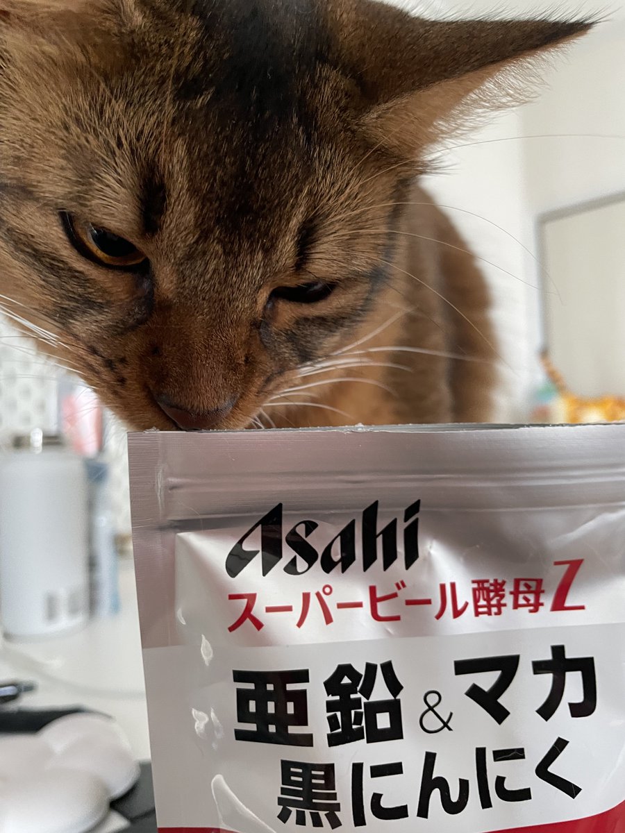このサプリ飲もうとすると猫が鋭い目で調べにくる