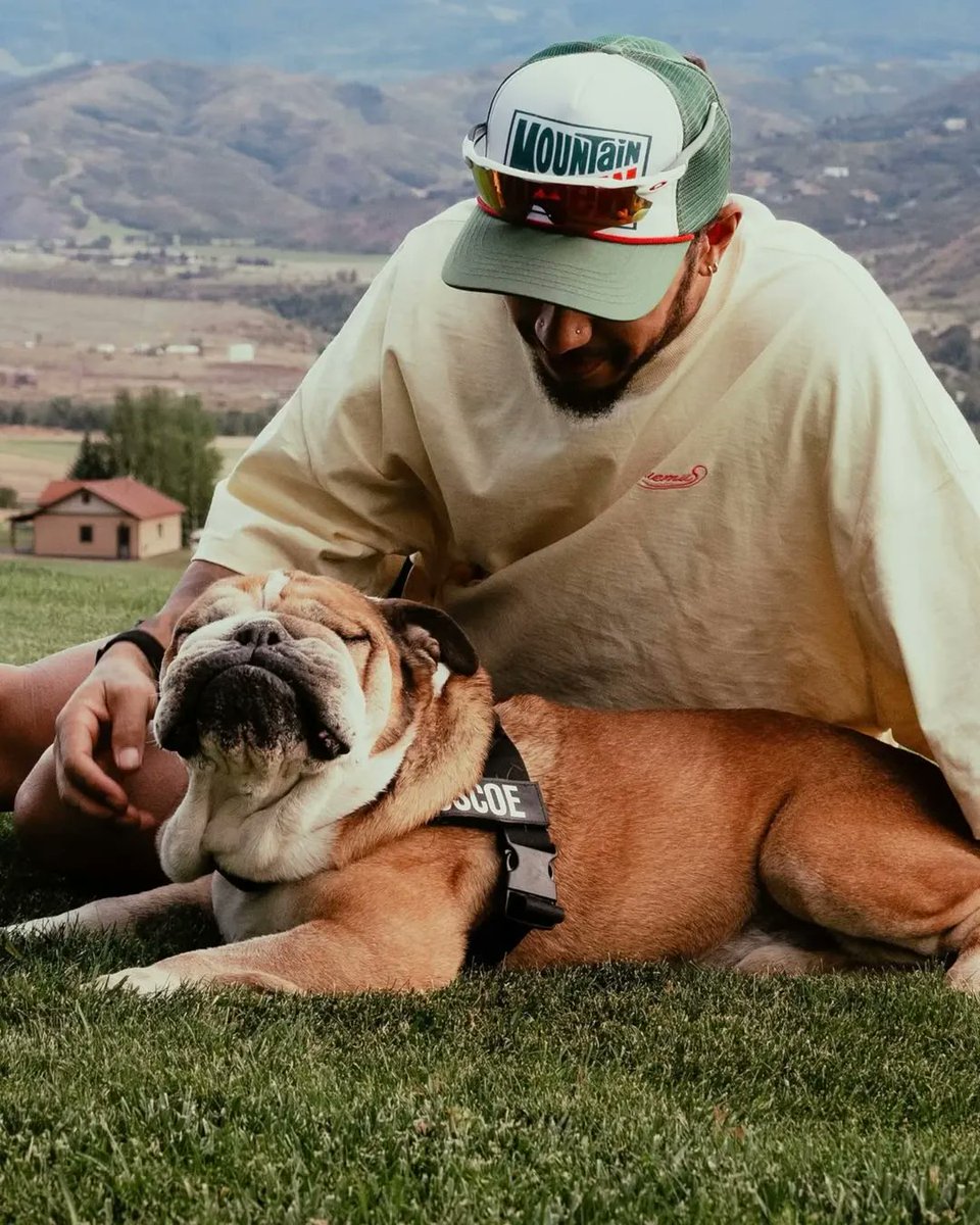 revistaronda's tweet photo. 😢💔 Adiós a un gran amigo
El piloto británico @LewisHamilton compartió con tristeza el fallecimiento de su perro #roscoelovescoco, un bulldog inglés, el pasado #28Sep, tras cuatro días en delicado estado de salud. 🐶🙏🏽 https://t.co/cDxKyItBpT
