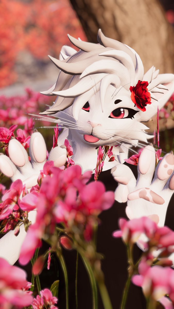 Abwa! I see you! 🌺