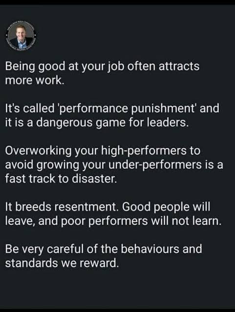 Aspergillus conidiophores tweet media