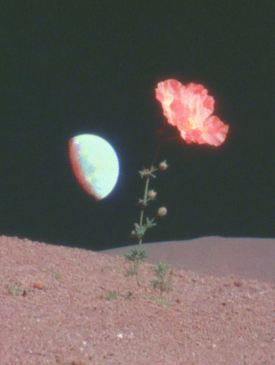 latte labs 🍵 (@latte_labs) on Twitter photo 