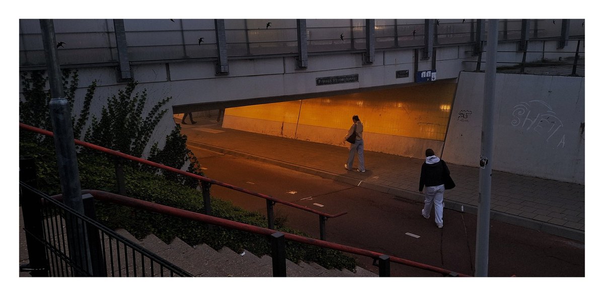 Ryssen by mist. 

#streetphotography