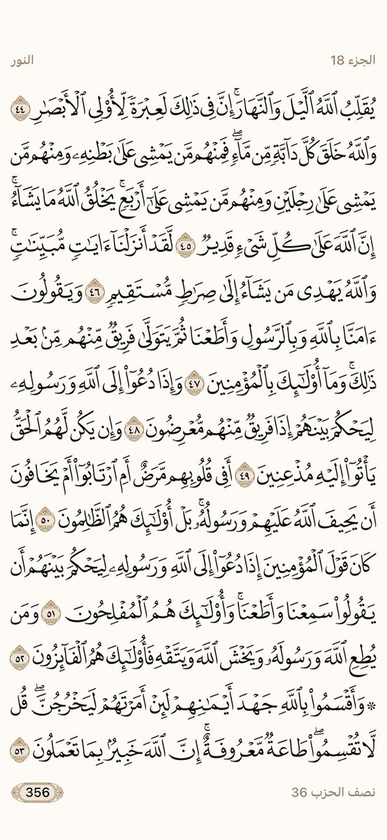AlMosahf's tweet photo. ورد الأربعاء https://t.co/84GspPb0nd