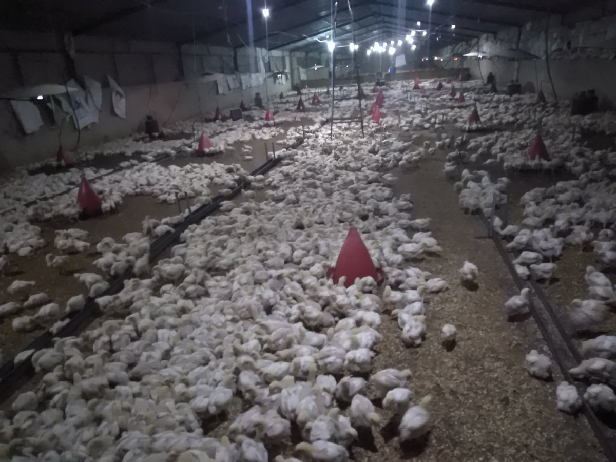 من مهنت عملي 😄