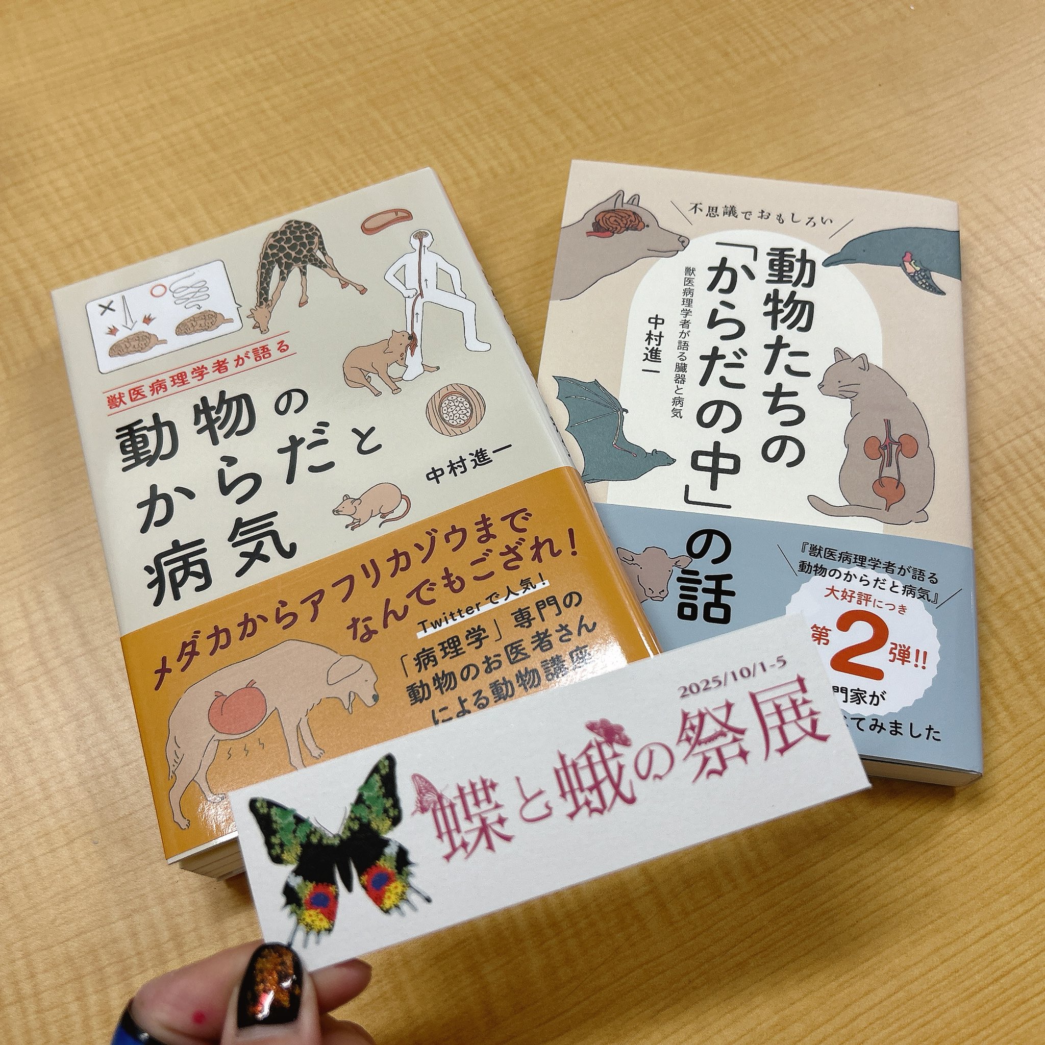 【中古】 ココロのキイノート/文芸社/ながおひなこ 61giLm14-4L._AC_UL210_SR210,