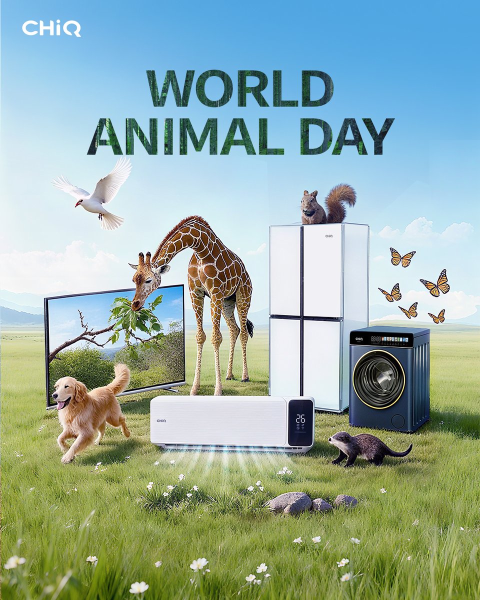 GlobalCHiQ's tweet image. 🌍 This World Animal Day, we celebrate harmony with all creatures, big and small. 🐾
With CHiQ smart home solutions, every moment of life stays fresh, clean, and filled with comfort just like the joy we share with our furry friends. ✨

#CHiQ #SmartwithStyle #CareWithCHiQ