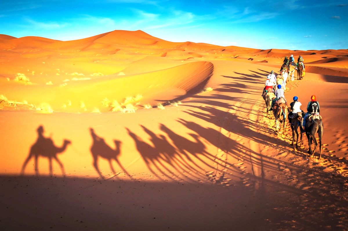 vardhmantours's tweet image. 🐪 Ride into the golden silence of Khuri Sand Dunes — where every sunset feels like magic. #khurisanddunes #camelsafari #desertadventure #incredibleindia #desertvibes #travelrajasthan #goldendesert #rajasthantourism #desertexperience #travelindia #magicalrajasthan