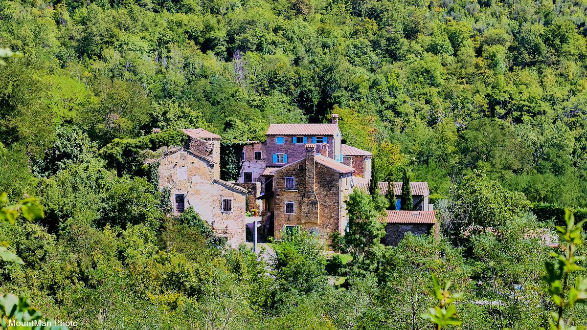 StjepanStimac's tweet image. Selo Bazjaki iznad Livada u bujnome zelenilu
#bazjaki #livade #zelenilo #istra #photography